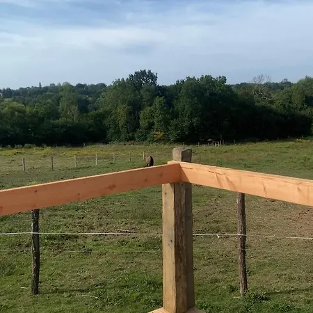 Lyxtält Tipi En Pleine Nature Avec Les Chevaux